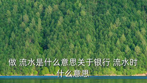 做流水,第一集:銀行存取款交易對賬單