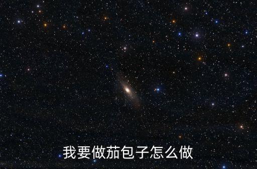 我要做茄包子怎么做