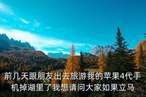 前幾天跟朋友出去旅游我的蘋果4代手機掉湖里了我想請問大家如果立馬