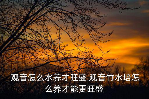 觀音竹怎么養,觀音竹子栽培法你好!正在整理答案
