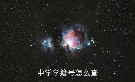 中學學籍號怎么查