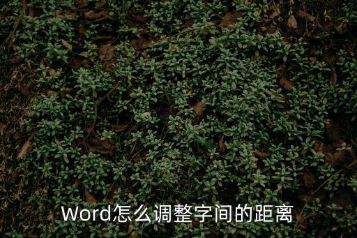Word怎么調整字間的距離