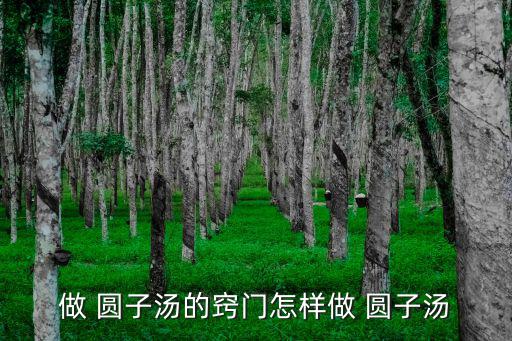 圓子湯,【幸運(yùn)商業(yè)中心血拼拼湊五大元素!