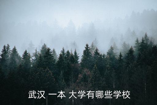 武漢一本大學,武漢大學是武漢一本大學之一