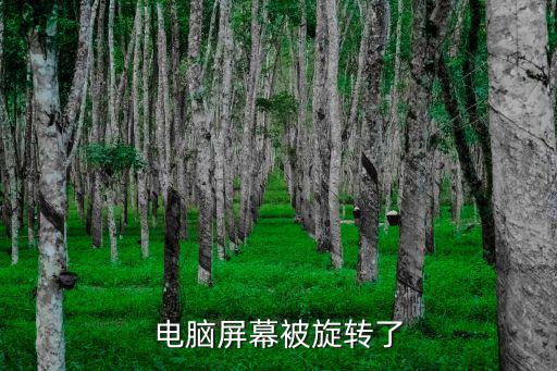 電腦屏幕被旋轉(zhuǎn)了