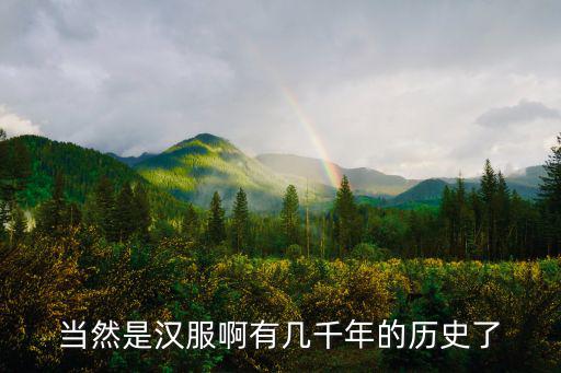 當然是漢服啊有幾千年的歷史了