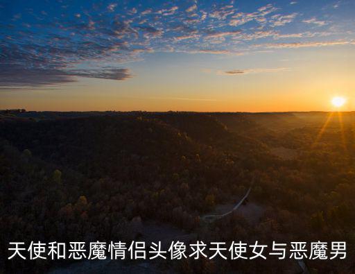 天使頭像，求男生大天使的頭像最好翅膀在圖中占得比例大一些像這樣的