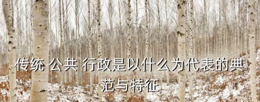 公共行政的特點,公共行政:發展社會主義市場經濟保障公共理財
