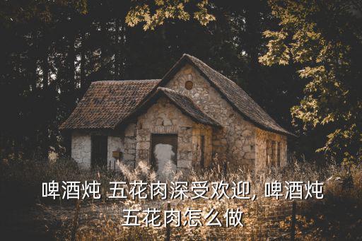  啤酒燉 五花肉深受歡迎, 啤酒燉 五花肉怎么做