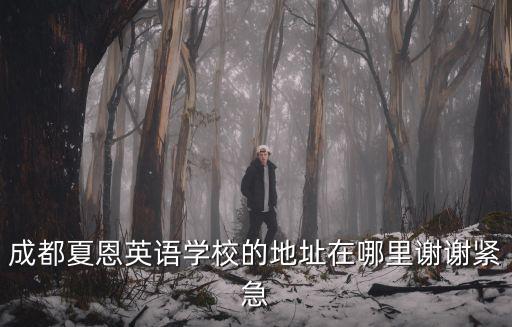 成都夏恩英語學校的地址在哪里謝謝緊急