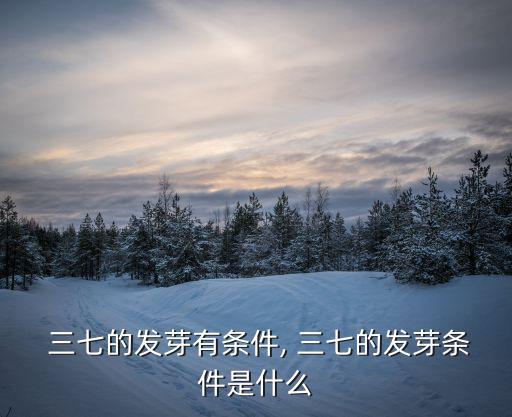  三七的發芽有條件, 三七的發芽條件是什么