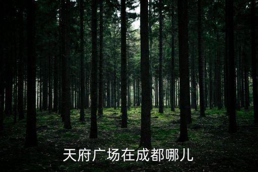 成都市天府廣場主席像，成都天府廣場郵編