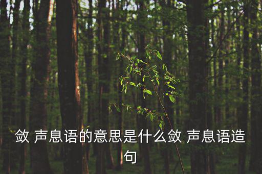 斂聲息語的同義詞,收斂聲息:語言的魅力