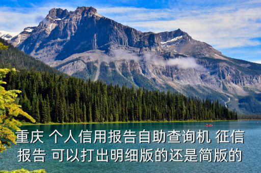重慶 個人信用報告自助查詢機 征信報告 可以打出明細版的還是簡版的