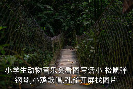 小學生動物音樂會看圖寫話小 松鼠彈鋼琴,小雞歌唱,孔雀開屏找圖片