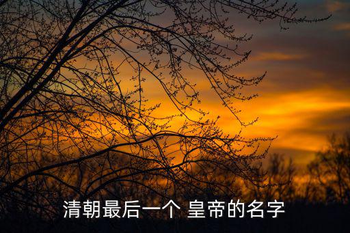 清末皇帝,清朝廢帝溥儀第一次登基皇位