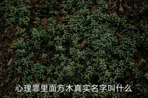 心理罪里面方木真實名字叫什么