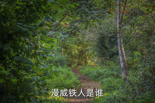 鋼鐵俠英文名，鋼鐵俠 用英語(yǔ)怎么說(shuō)好比超人是superman