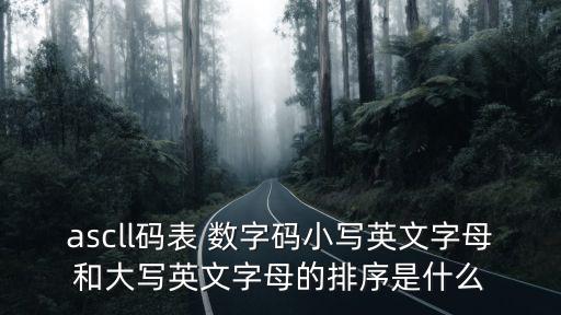ascll碼表 數字碼小寫英文字母和大寫英文字母的排序是什么