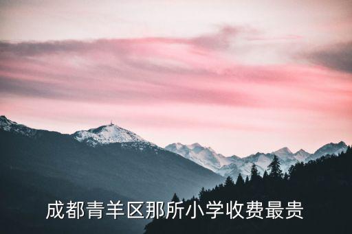 成都青羊區那所小學收費最貴