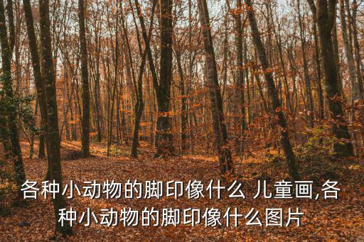 各種小動物的腳印像什么 兒童畫,各種小動物的腳印像什么圖片