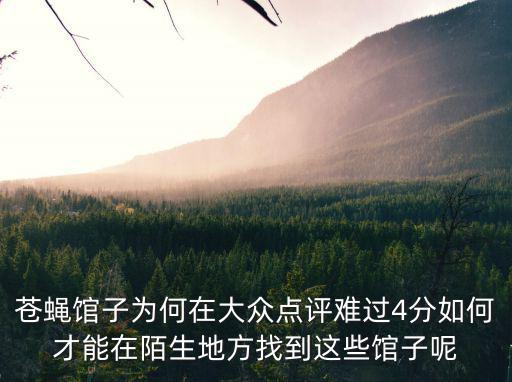 蒼蠅館子為何在大眾點(diǎn)評(píng)難過4分如何才能在陌生地方找到這些館子呢