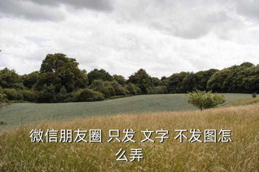  微信朋友圈 只發(fā) 文字 不發(fā)圖怎么弄