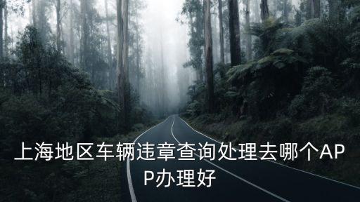 上海地區(qū)車輛違章查詢處理去哪個APP辦理好