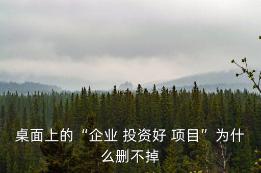 桌面上的“企業(yè) 投資好 項目”為什么刪不掉