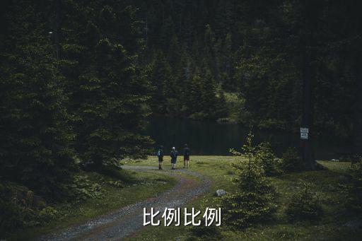 比例比例