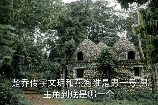  楚喬傳宇文玥和燕洵誰(shuí)是男一號(hào) 男主角到底是哪一個(gè)