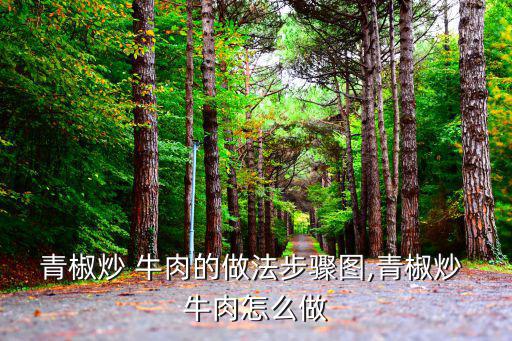 青紅椒炒牛肉,第八集:青椒紅椒炒牛肉