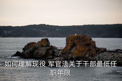 軍官法,現(xiàn)役軍官軍銜分三級(jí)十級(jí)