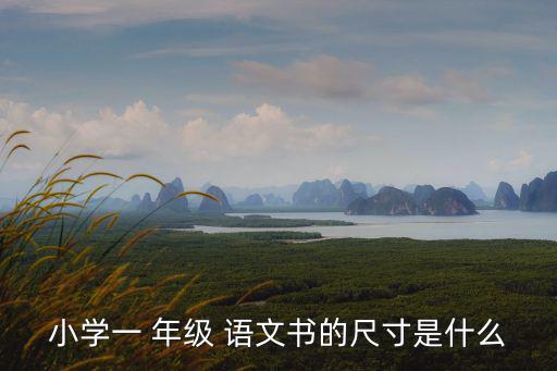 一年級(jí)的語文書,語文書籍特點(diǎn)少而精有利學(xué)生在探究中學(xué)習(xí)