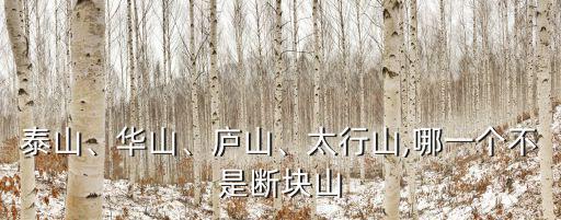 泰山、華山、廬山、太行山,哪一個不是斷塊山