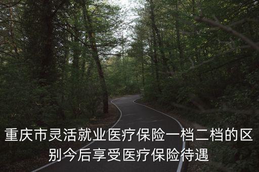重慶市靈活就業(yè)醫(yī)療保險一檔二檔的區(qū)別今后享受醫(yī)療保險待遇