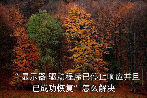 “ 顯示器 驅(qū)動程序已停止響應(yīng)并且已成功恢復(fù)”怎么解決