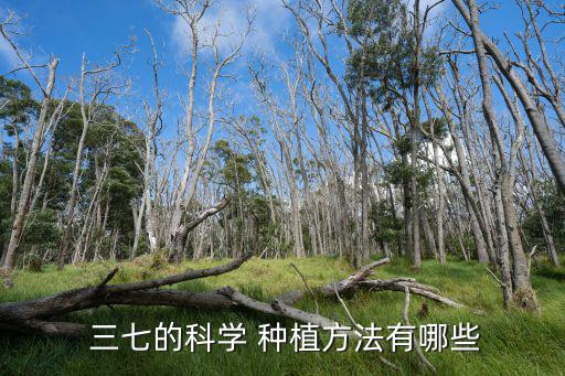  三七的科學 種植方法有哪些