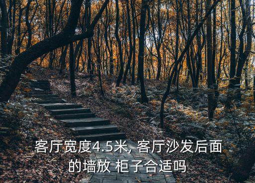  客廳寬度4.5米, 客廳沙發(fā)后面的墻放 柜子合適嗎
