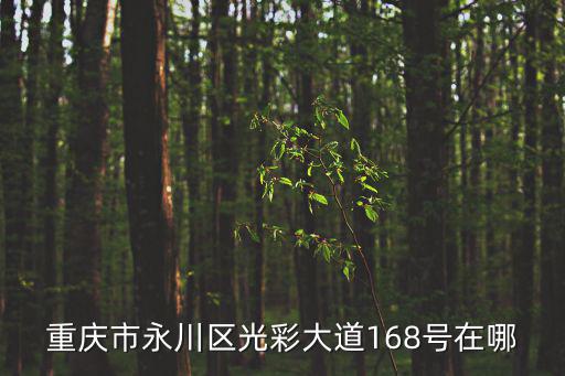 重慶市永川區光彩大道168號在哪