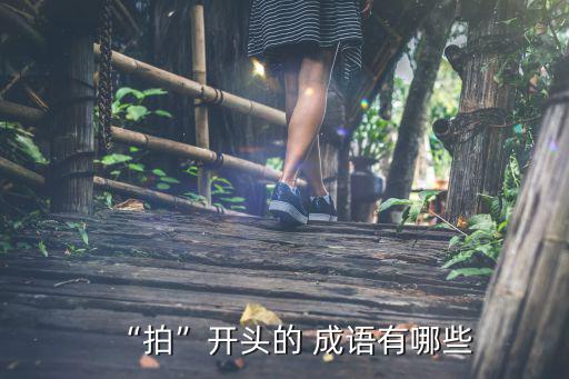“拍”開頭的 成語有哪些