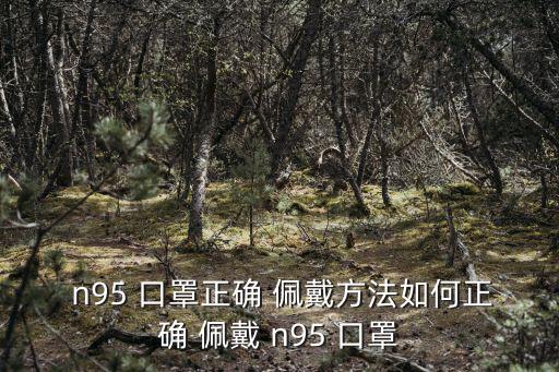  n95 口罩正確 佩戴方法如何正確 佩戴 n95 口罩