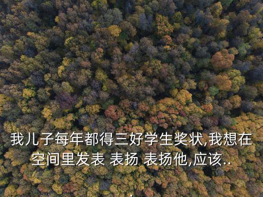 我兒子每年都得三好學生獎狀,我想在空間里發表 表揚 表揚他,應該...
