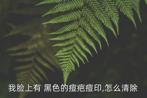 祛黑色痘印,另一種方法是通過異物去除黑色痘印