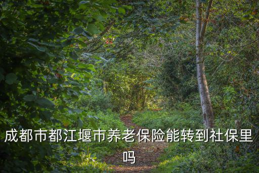 成都市都江堰市養(yǎng)老保險(xiǎn)能轉(zhuǎn)到社保里嗎