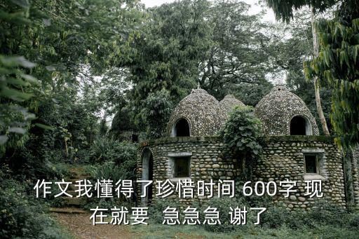我懂得了珍惜時間，以我懂得珍惜時間為題寫一篇作文小學作文