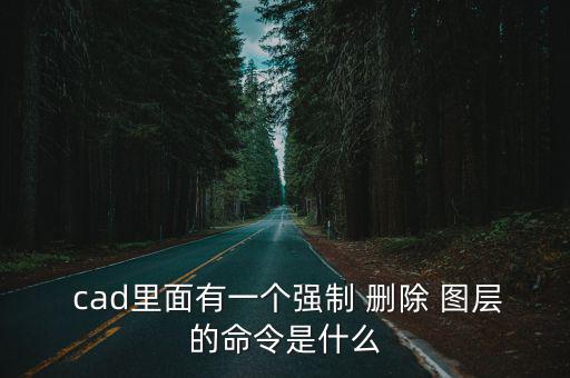 cad刪除圖層,怎么刪除howtocad?