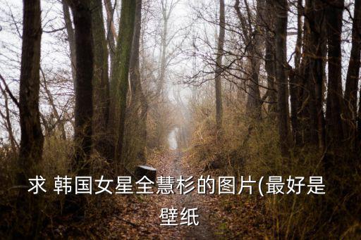 求 韓國女星全慧杉的圖片(最好是 壁紙