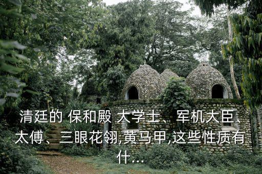保和殿大學(xué)士,清初設(shè)內(nèi)閣中和、保和、文華、文遠閣大學(xué)士