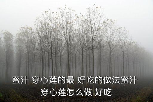 蜜汁 穿心蓮的最 好吃的做法蜜汁 穿心蓮怎么做 好吃